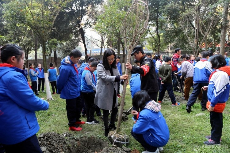 高新大源师生给地球添一抹新绿(图1)