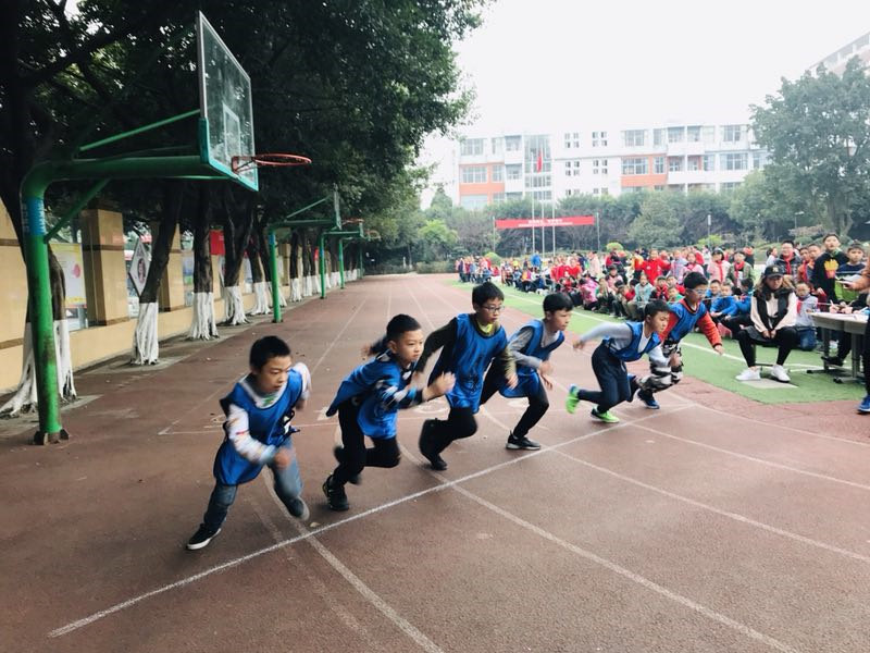 我运动我快乐 新光小学体育节又开始啦(图1)