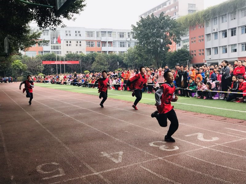 我运动我快乐 新光小学体育节又开始啦(图2)