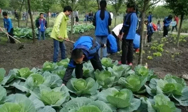 双中实验学校校园开放日 帮家长解疑“小升初”(图5)