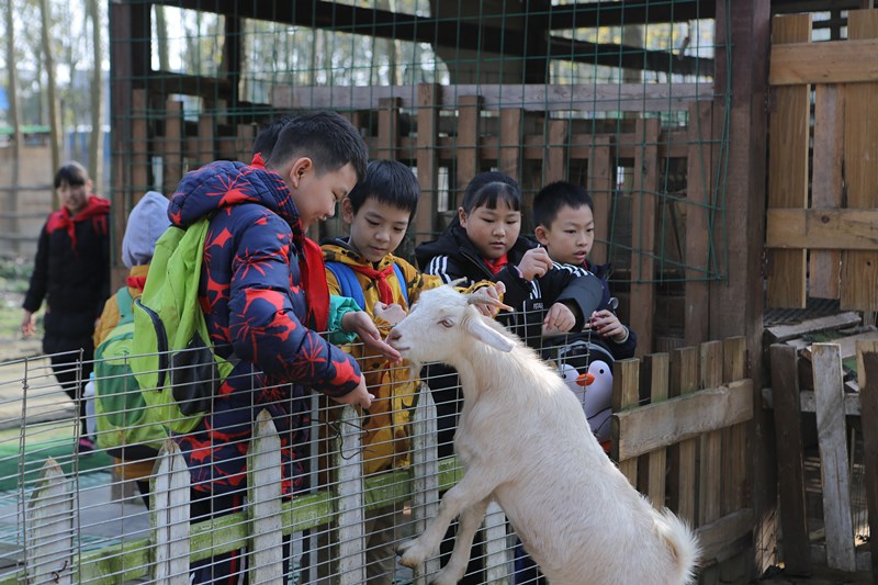 新光小学田间地头学知识 农耕体验乐趣多(图2)