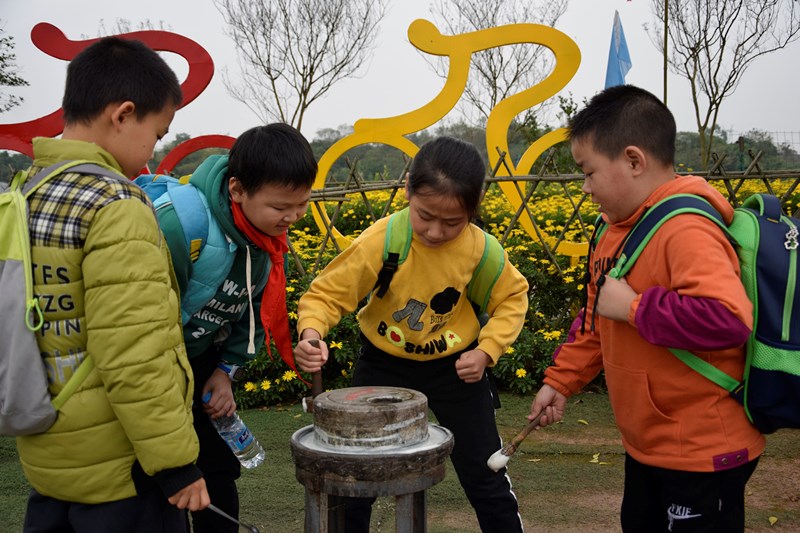 新光小学田间地头学知识 农耕体验乐趣多(图1)