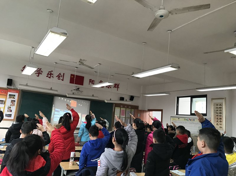 新光小学开展宪法日主题教育活动(图2)