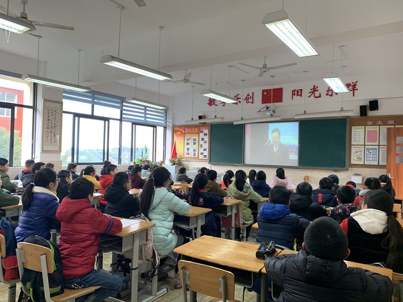 新光小学开展宪法日主题教育活动(图1)