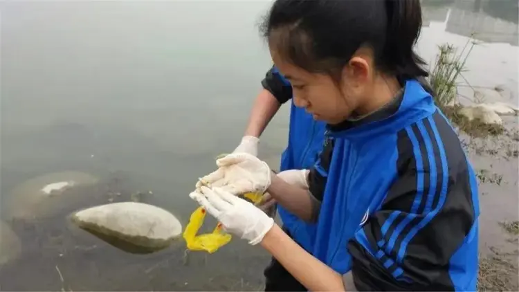 坚持16年 将生态扎根学生心底(图3)
